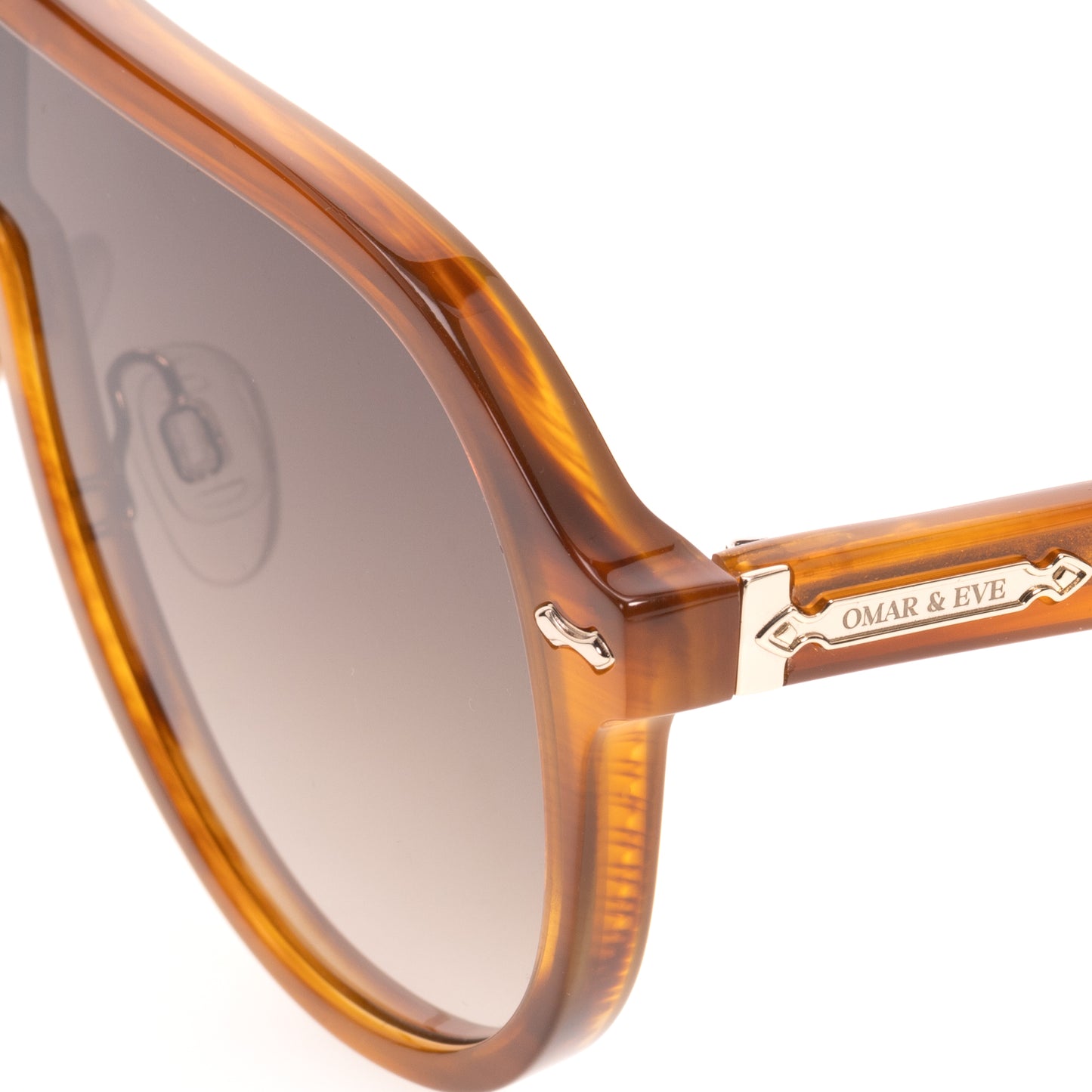 Paignton - Tortoise Frame Brown Gradient Lens