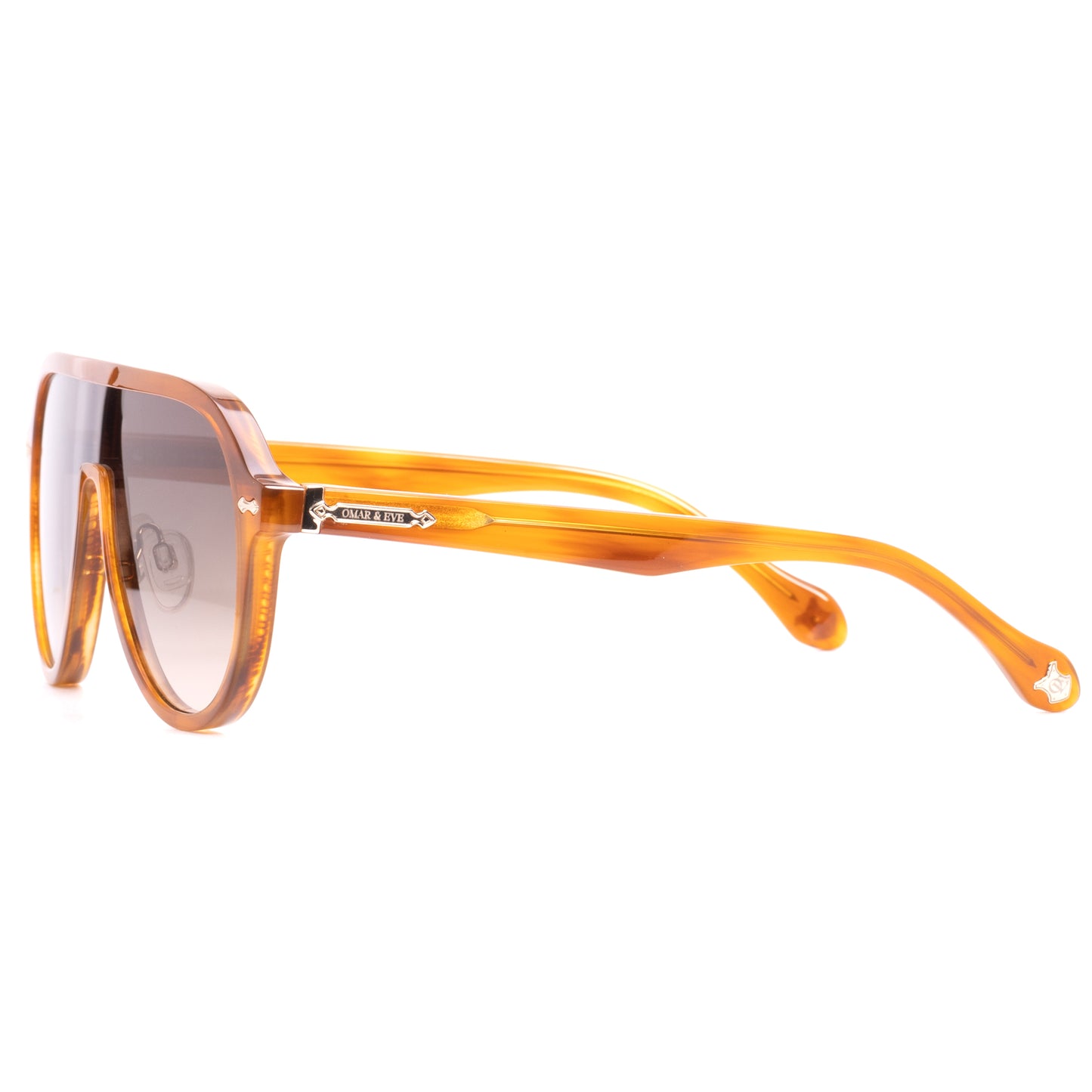 Paignton - Tortoise Frame Brown Gradient Lens