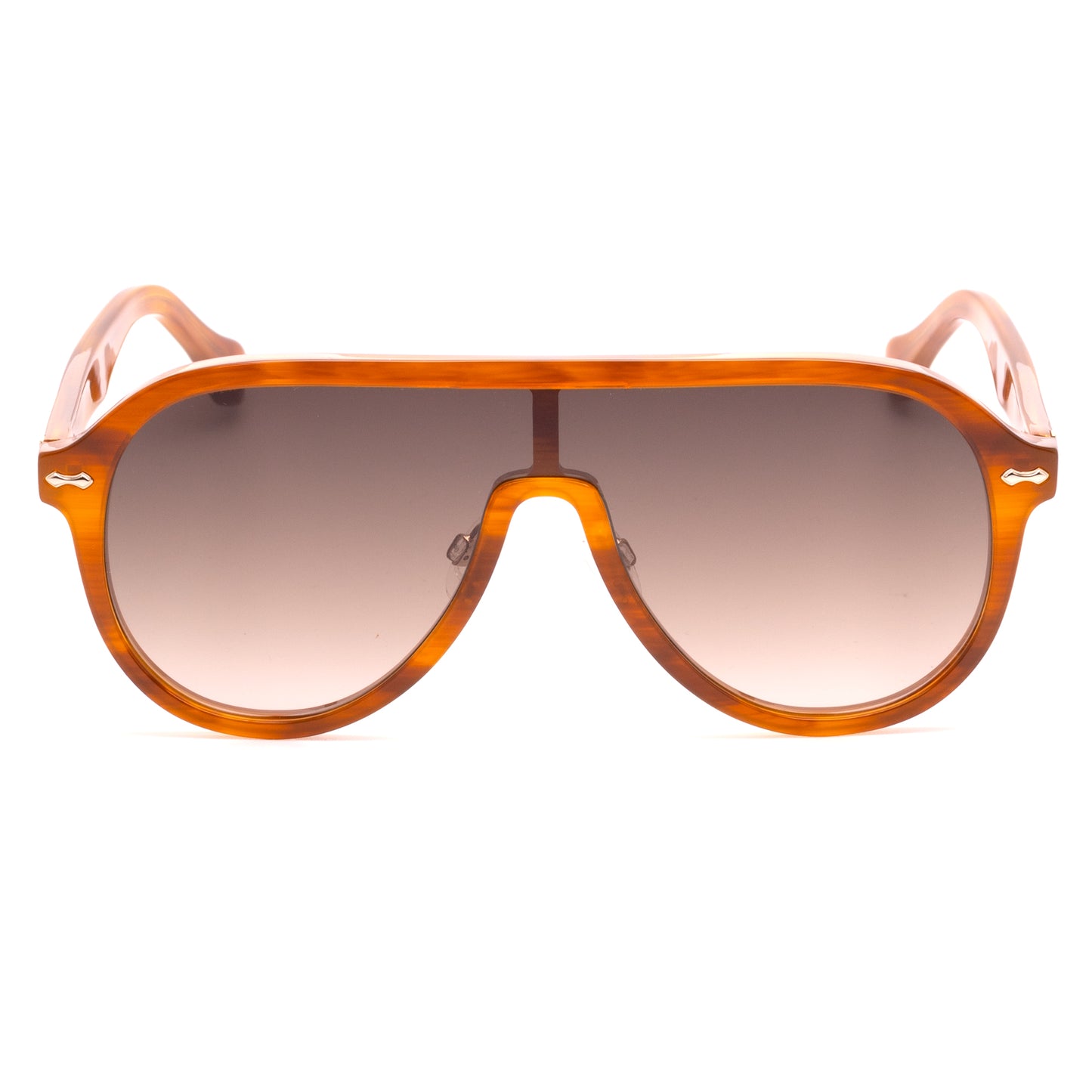Paignton - Tortoise Frame Brown Gradient Lens